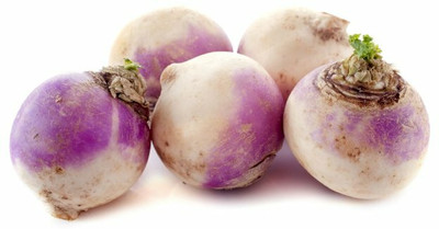 YEH White Purple Top Turnip/Shalgam Seed(120 per packet)