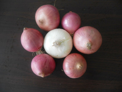 WATIKA Red Sweet Onion Seed(2000 per packet)