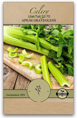 CYBEXIS KGF -3 - Tall Utah 52/70 Celery - (750 Seeds) Seed(750 per packet)