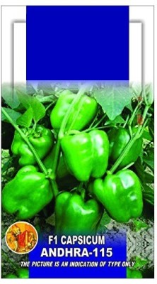 VibeX XLL-35 - Bellpepper Capsicum Green - (150 Seeds) Seed(150 per packet)