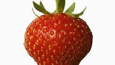XOLDAA F1 best quality hybrid strawberry Seed(100 per packet)
