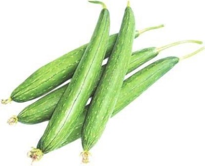 Farmers Choice Tori, Sponge Gourd, NENUA seeds - BEST QUALITY Seed(50 per packet)