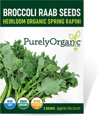 WILLVINE AGRI -X Broccoli Raab Seeds (Spring Rapini) [10g] Seed(3000 per packet)