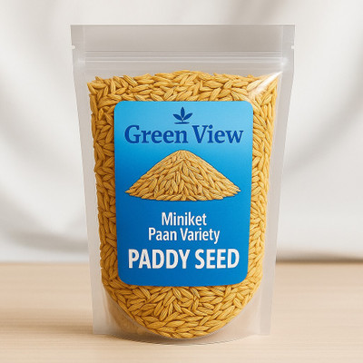 Green view Rice Paan Miniket Variety Seed(1 per packet)