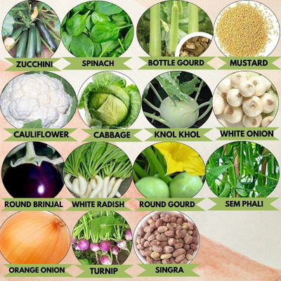 Vrisa Green Transform Your Terrace Into a Thriving Vegetable Garden With These 15 Varieties Seed(50 per packet)