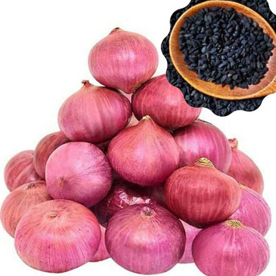 ACMS RED AS- JK55 Onion Seed(200 per packet)