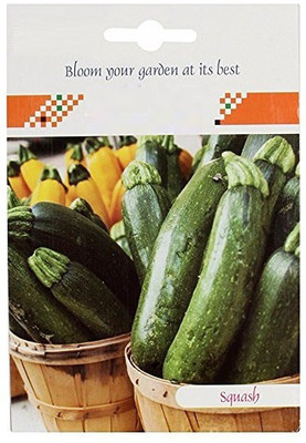 CYBEXIS Hybrid Squash Seeds400 Seeds Seed(400 per packet)