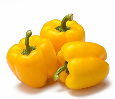 VibeX PUAS-43 - F1 Capsicum Yellow Hybrid - (1350 Seeds) Seed(1350 per packet)