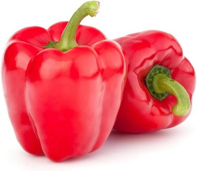 BDSresolve Capsicum Red Seeds/capsicum seed 29 Seed(29 per packet)