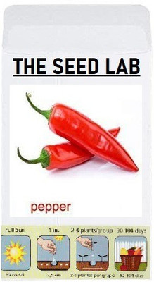 CYBEXIS Organic Vegetable Seeds-Red Chilli Pepper2400 Seeds Seed(2400 per packet)