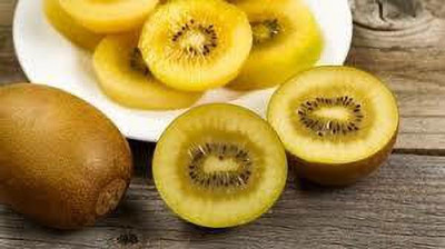 XOLDAA hybrid kiwi fruit seeds Seed(62 per packet)