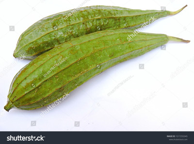 Paudhaa F1 best quality RIDGE GOURD Seed(19 per packet)