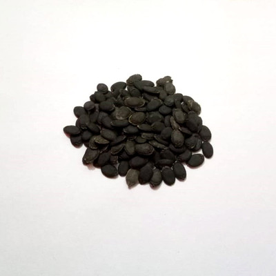 Qualtivate RES-7A Vegetable - Sponge Gourd - High Yielding Seed(50 per packet)