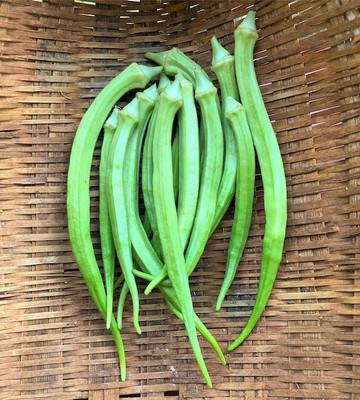 Qualtivate PUA-7A Elephant Tusk Okra Seeds Seed(350 per packet)