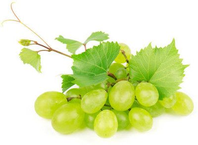 PASCLE GRAPE SEEDS Seed(50 per packet)