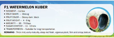 CYBEXIS F1 WATERMELON KUBER(1000 Seeds) Seed(1000 per packet)