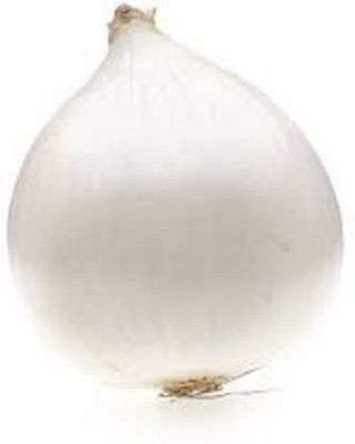 VibeX ® XXL-1076 F1 HYBRID WHITE ONION SEEDS Seed(1000 per packet)
