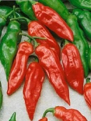 Biosnyg F1 Hybrid Habanero Mayan Red Pepper Vegetable Seeds For Planting-(4000 Seeds) Seed(4000 per packet)