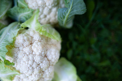 Kritharth Creation white cauliflower,gobhee seeds Seed(35 per packet)