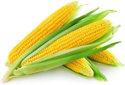 Infintegreen SWEET CORN Seed(100 per packet)