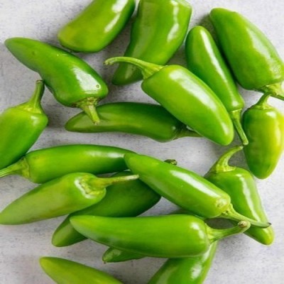 Arshiayat Bullet chilli seed hybrid hot green chilli Seed(10 per packet)