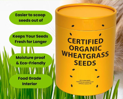 KNESSiN Non-Treated Pets Wheat Grass for Digestion and Hairballs Seeds-(5000 Seeds) Seed(5000 per packet)