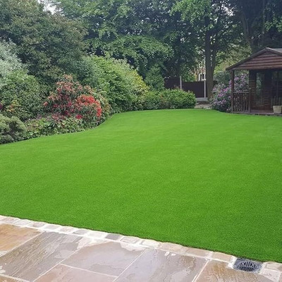 GREENSEA Lawn Grass/Bermuda Grass/Carpet Grass Seed(6000 per packet)