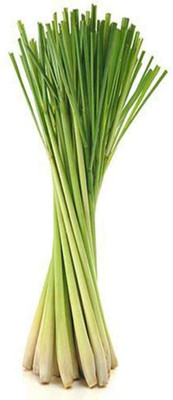 Aywal Lemon Grass Seed(10 per packet)