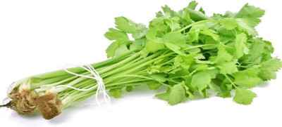 CYBEXIS GBPUT-61 - Nan Ling Celery - (750 Seeds) Seed(750 per packet)