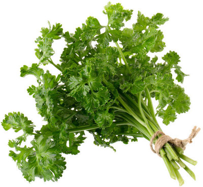 EKAKSHAR CORIANDER Seed(40 per packet)