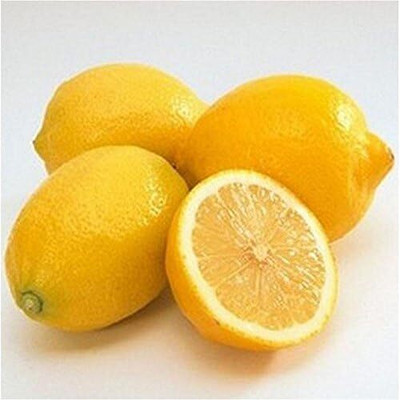 KNESSiN Certified Germination Lemon Tree[50 Seeds] Seed(50 per packet)