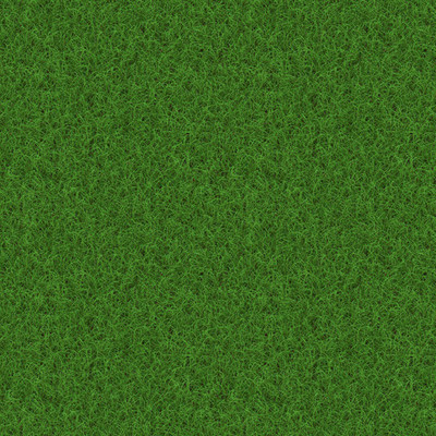 PMA Grass Seeds for Garden/Park/Playground, Lawn Grass Seed(20000 per packet)
