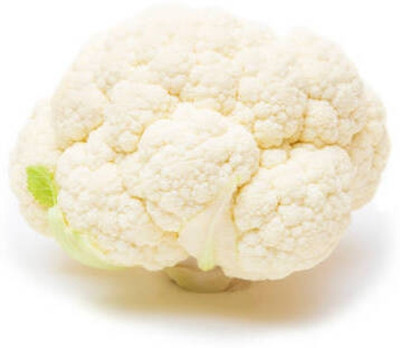 Sae Fashions white cauliflower,gobhee seeds Seed(40 per packet)