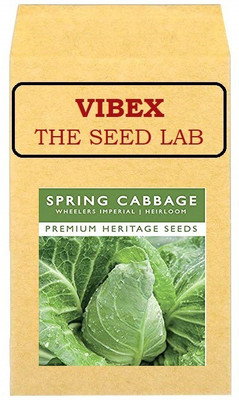 CYBEXIS Spring Cabbage Hybrid Seeds800 Seeds Seed(800 per packet)