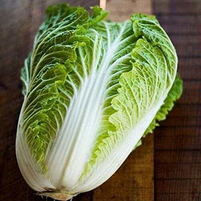 MKR Enterprises Chinese Cabbage Seed(150 per packet)
