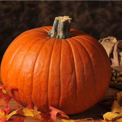 KNESSiN Pumpkin Seed(150 per packet)