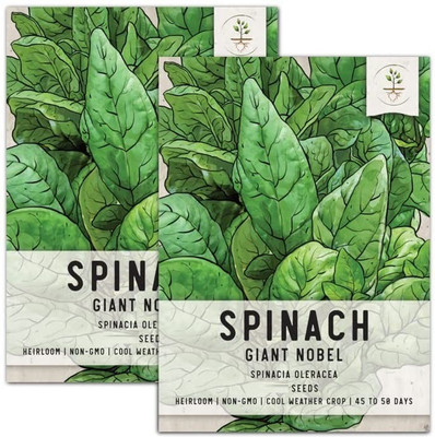 VibeX NBIR-8 - Giant Nobel Spinach - (2250 Seeds) Seed(2250 per packet)