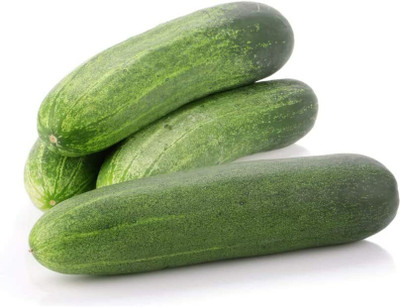 WHYGI Carolina Cucumber Seeds,Heirloom Seeds-CuC_365 Seed(80 per packet)