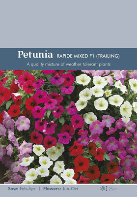 CYBEXIS Petunia Nana Compacta Mixed Flower Seeds for Gardens and Outdoors Seed(50 per packet)