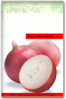 WILLVINE SCI -IV Fursungi Pune Onion Seeds [25g] Seed(15000 per packet)