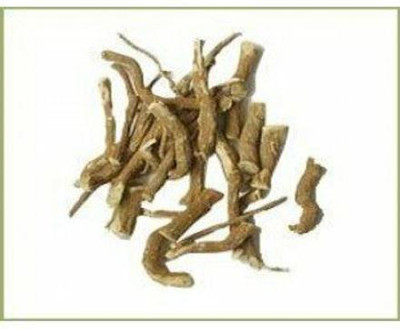 Urancia Punarnava Mul- 100 Gram Seed(1 per packet)