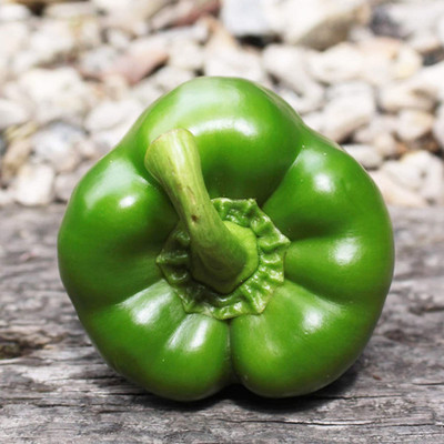 CYBEXIS High Yield Sweet Bell Pepper Capsicum Seeds600 Seeds Seed(600 per packet)