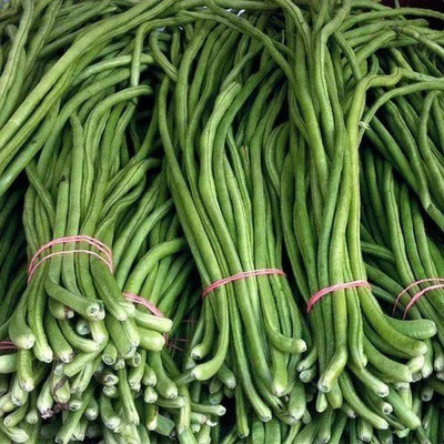CYBEXIS Lobia Seed(100 per packet)