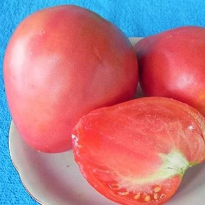 Qualtivate PUA-6A Pink Beefsteak Tomato Determinate Seed(300 per packet)