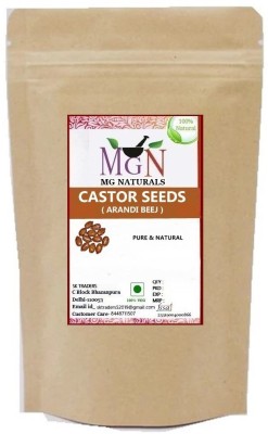 MG Naturals CASTOR SEEDS Seed(200 per packet)