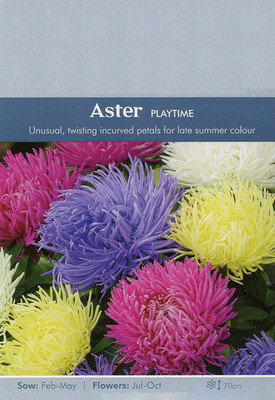 CYBEXIS Aster Playtime seeds Seed(1 g)