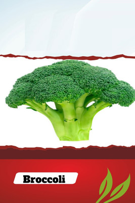 VibeX PAU-11 - Atlantis Broccoli - (1350 Seeds) Seed(1350 per packet)