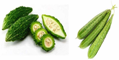 CYBEXIS Combo of Ridge Gourd and Bitter Gourd Seed(10 g)