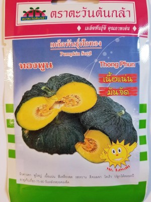 Qualtivate HUA-4A Thai Pumpkin Thong Phun Seeds Seed(50 per packet)