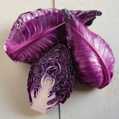 WILLVINE AMR -I Cabbage Red Kalibos Vegetable [2.5g] Seed(750 per packet)